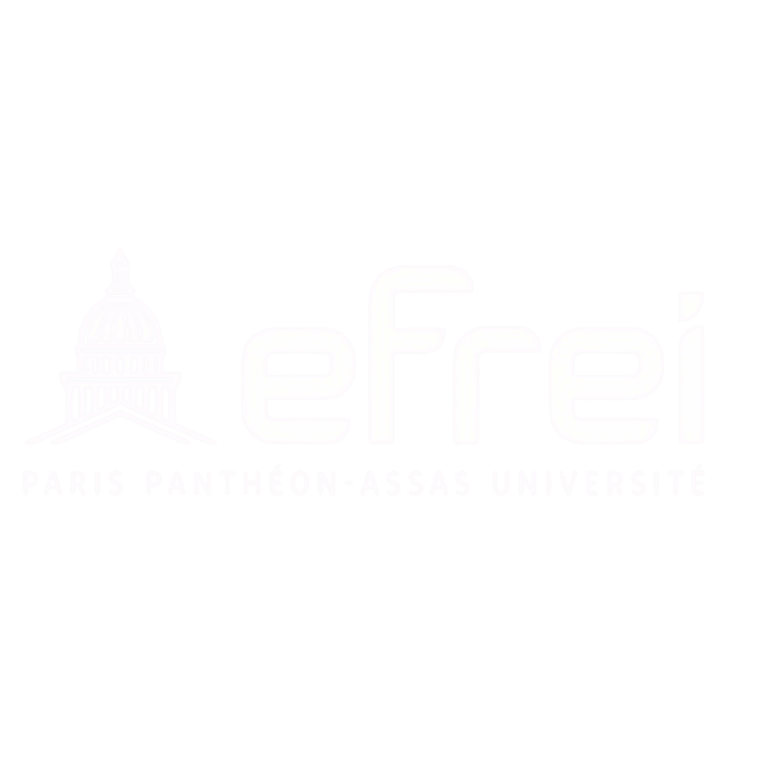 EFREI Paris
